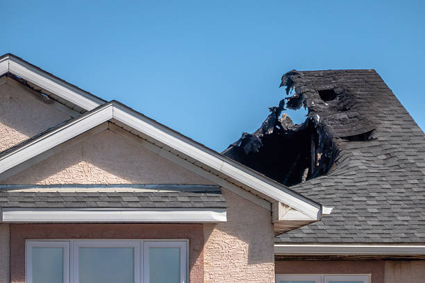Top rated local Fire Damage Removal specialists in Columbus, OH